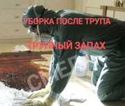 ‼️ ТРУПНЫЙ ЗАПАХ Уборка квартир после УМЕРШЕГО Убрать запахи МОЧИ ГАРИ