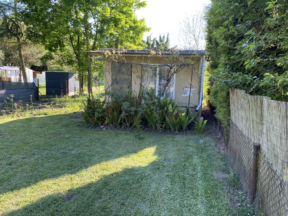 Piękna działka ROD w Rypinie