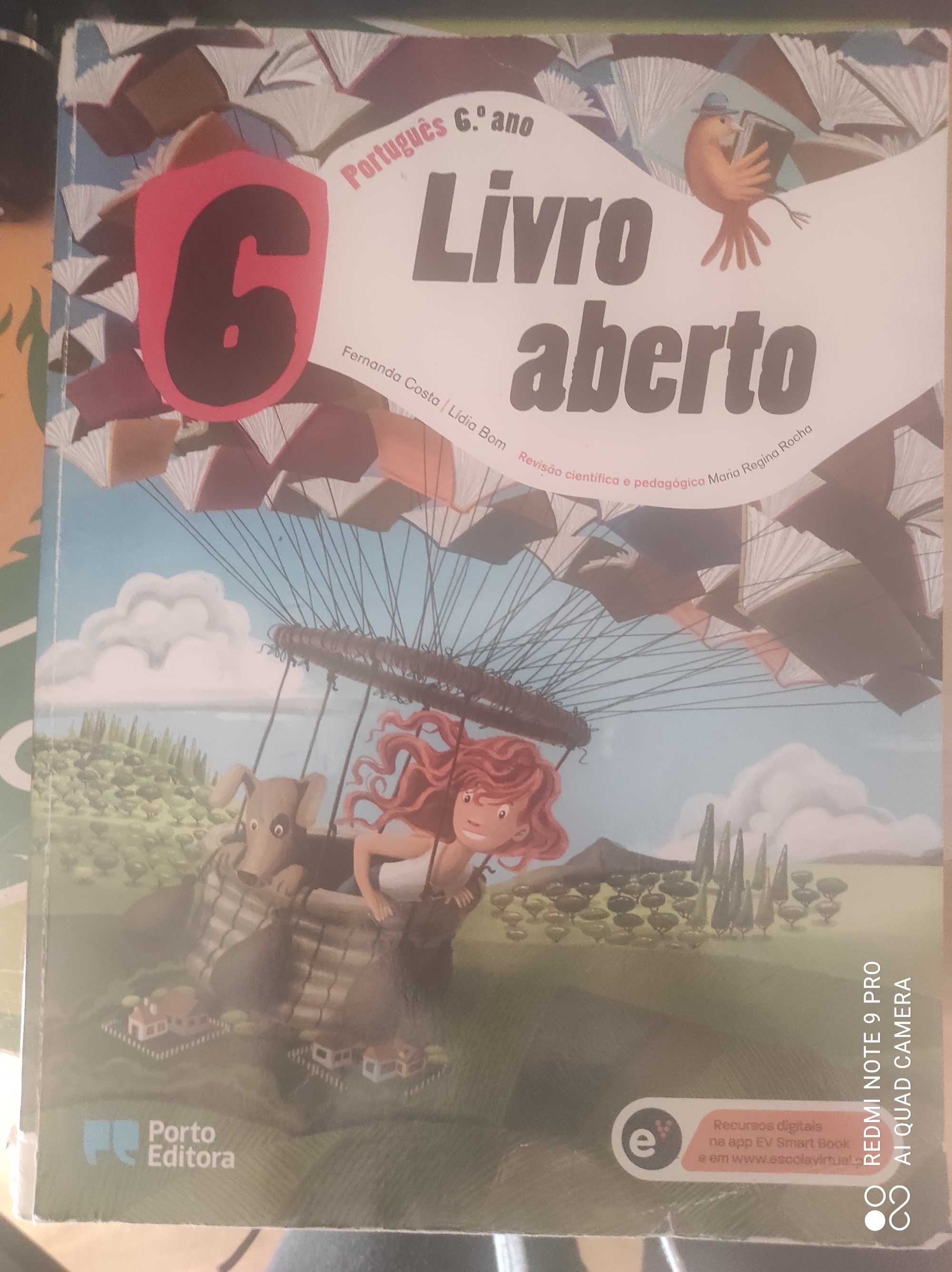 Livros escolares diversos 6º ano