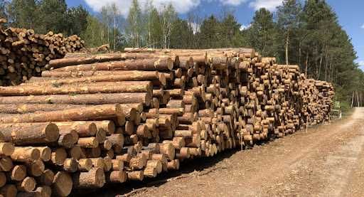 Sosna wałki drewno opałowe transport