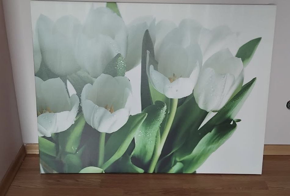 Piękny obraz bialych tulipanów
