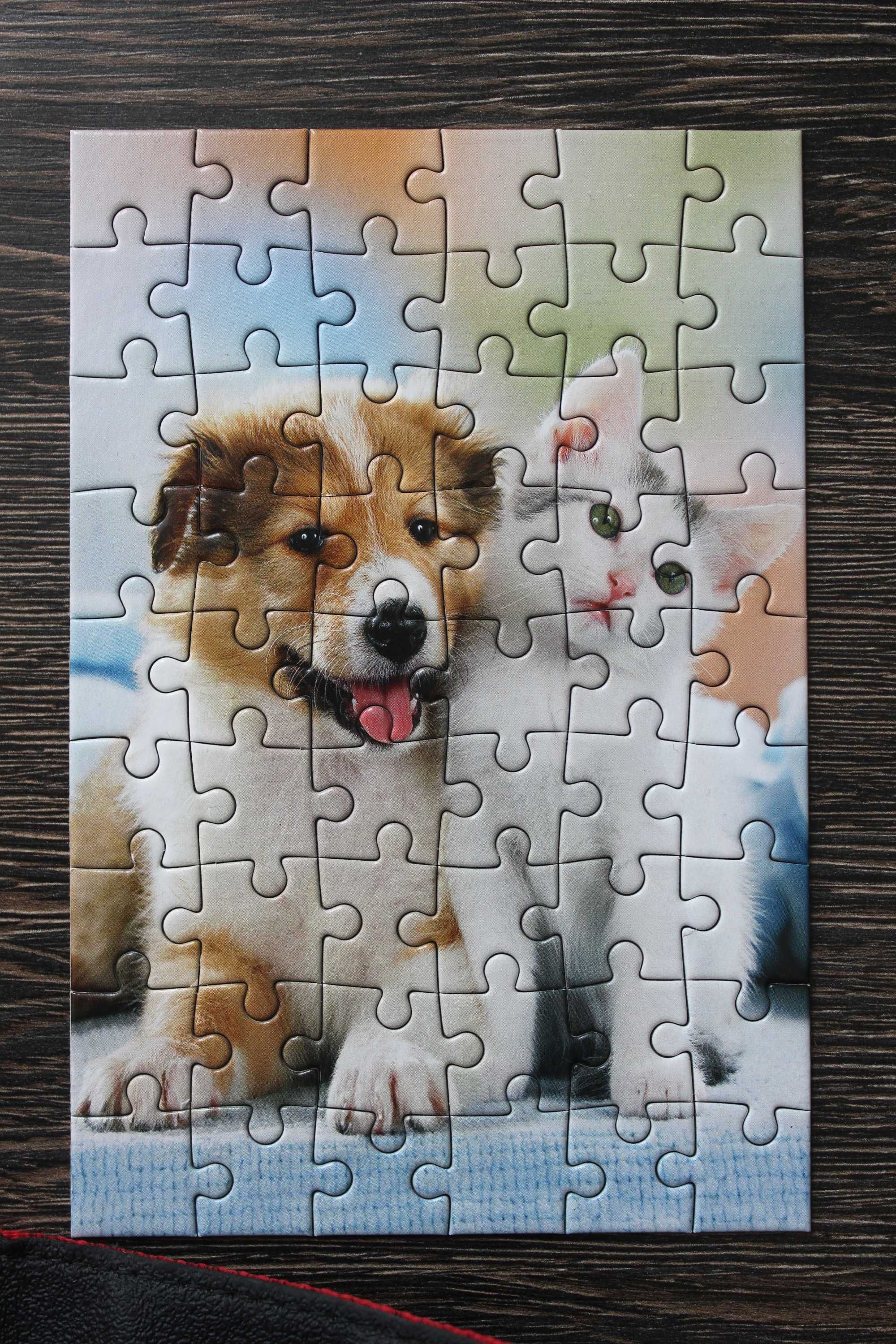 Mini puzzle Castorland 54 szt. pies kot, kompaktowe A-08521-Z