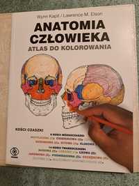 ,,Anatomia człowieka " atlas do kolorowania