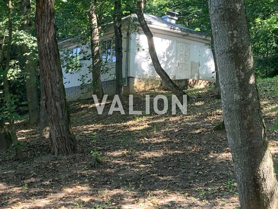 Продаж фасадної ділянки 1,57 га, траса Н10 Івано-Франківськ-Чернівці