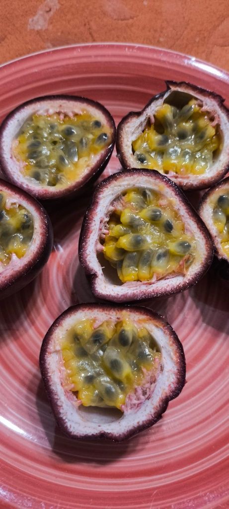 Vendo fruto: Maracujás