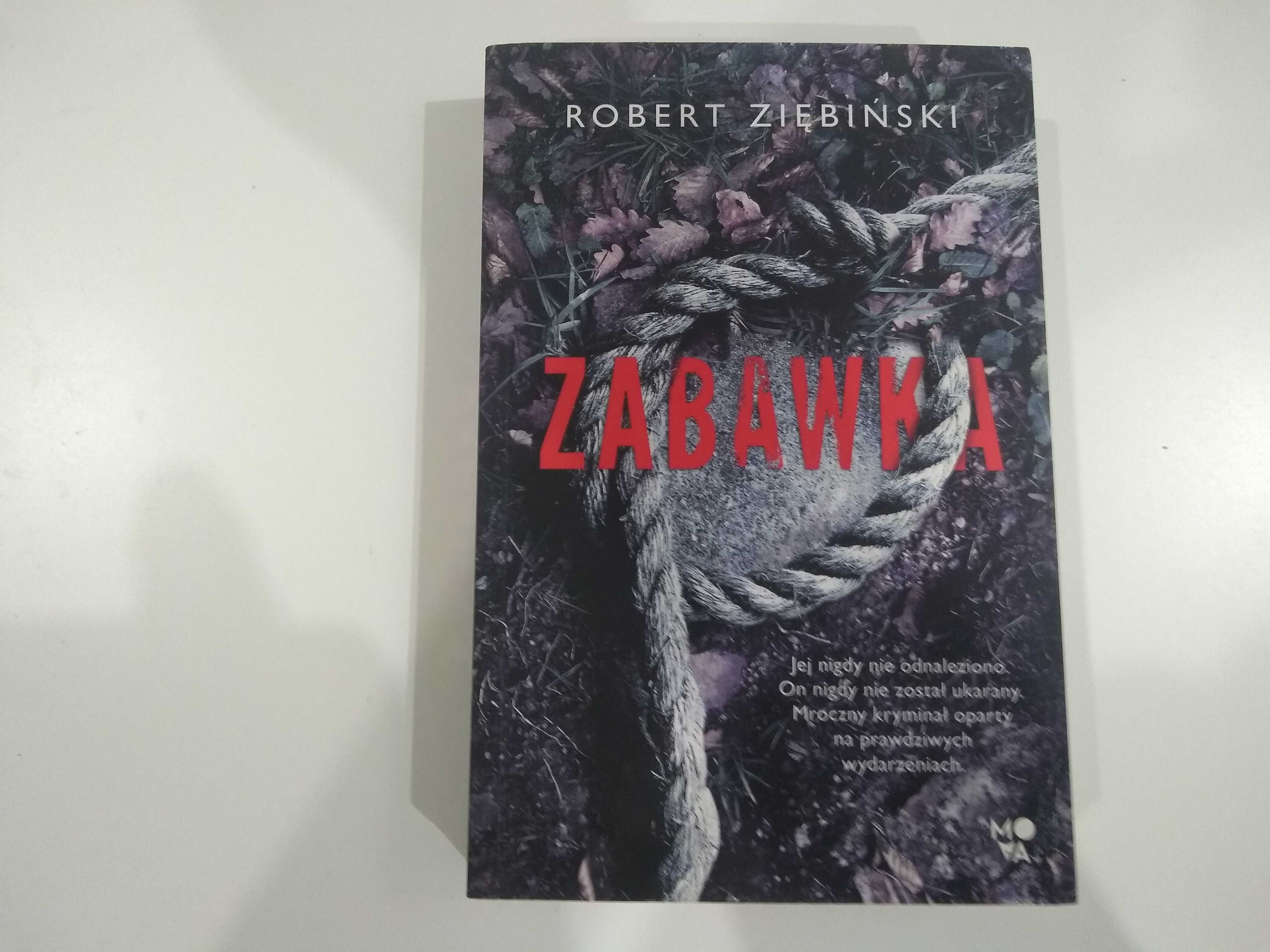 Dobra książka - Zabawka Robert Ziębiński (E5)