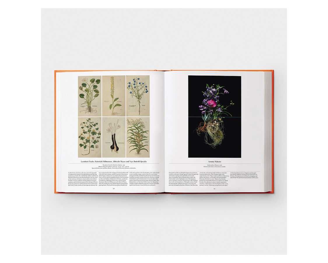 Книга Phaidon Editors: Flower, Exploring the World in Bloom