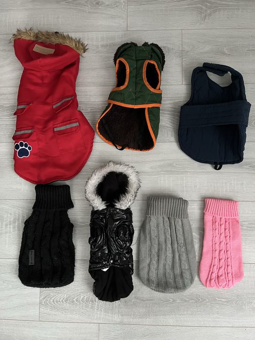 НОВИНКИ! поводки, шлейки Одяг для собак і котів