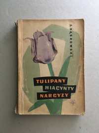 Hiacynty, narcyzy, tulipany; J. Dąbrowski 1960