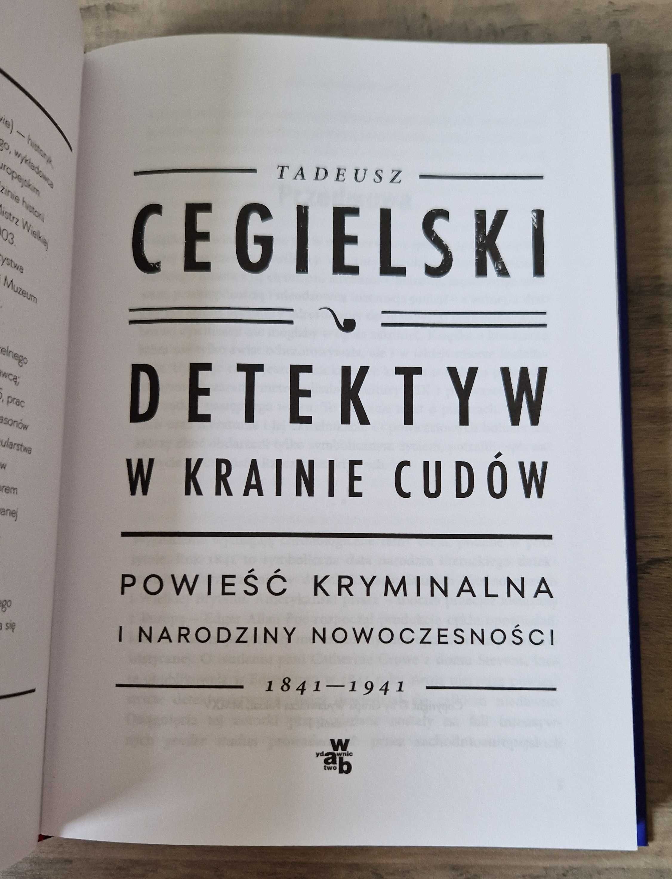 Detektyw w krainie cudów Powieść kryminalna i narodziny nowoczesności