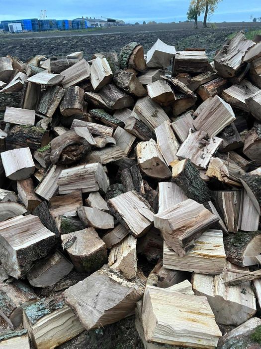 Twarde drewno jesion klon buk