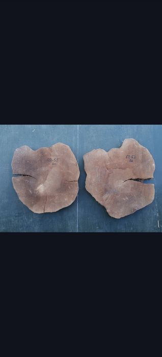 Зріз слеб срез горіх слива акація шовковиця дошка доска