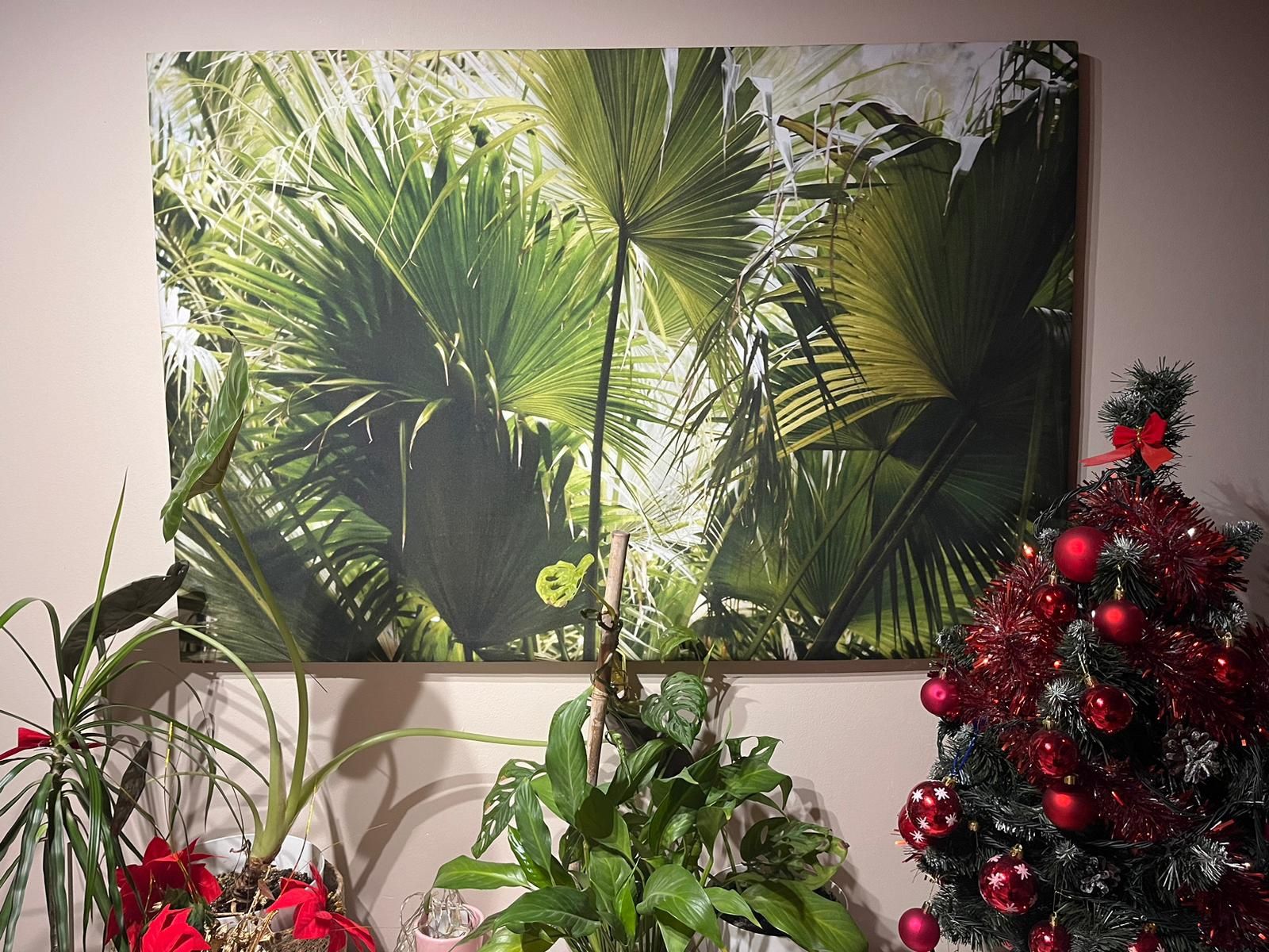 piękny duży obraz Monstera, Las z ramą  - 120x80 cm -