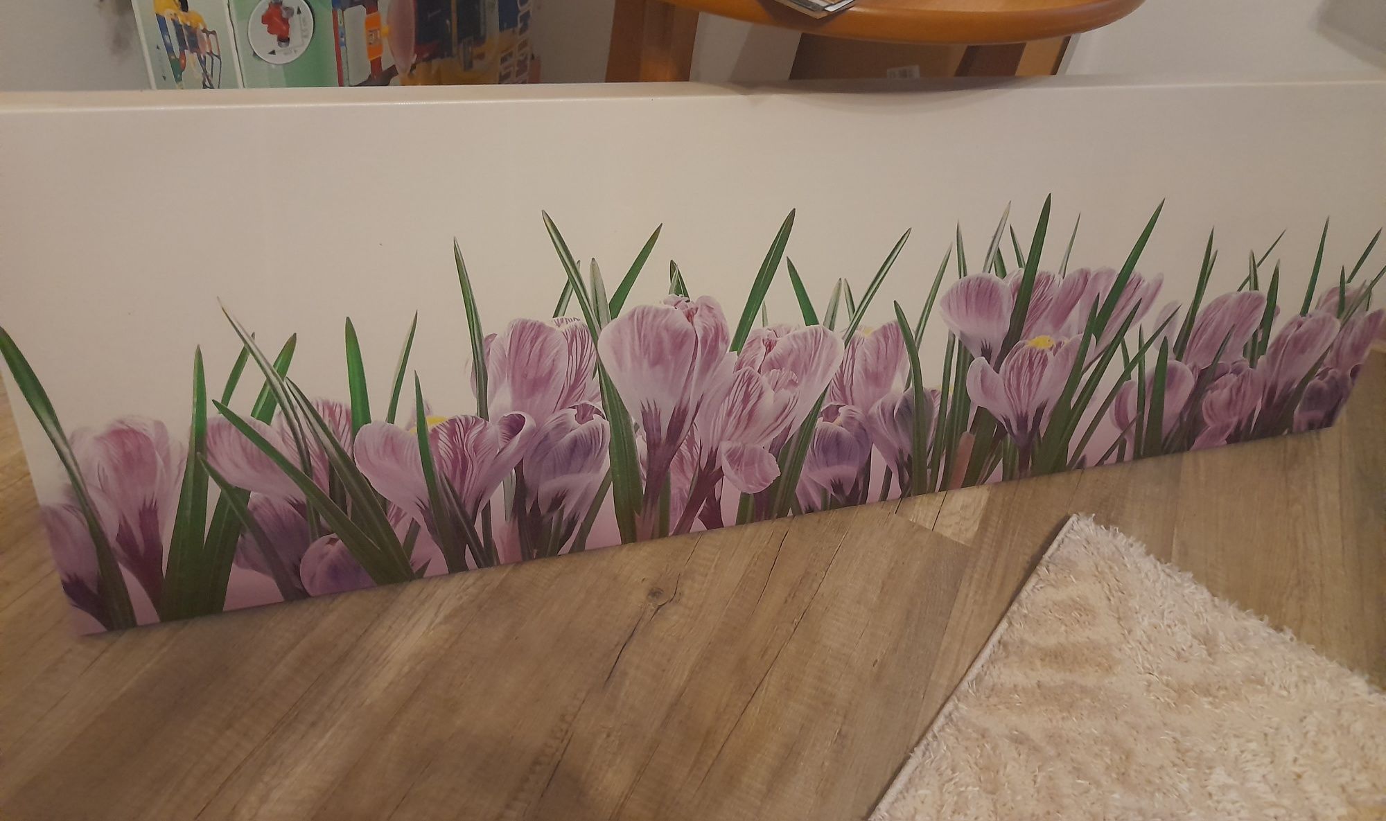 Obraz na płótnie 140x45