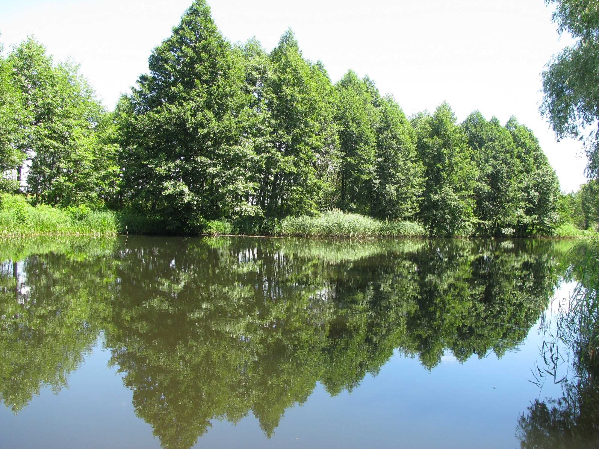 Продаж  будинку в Овручі