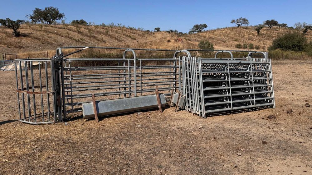 sistema de captura de vaca com espaço para condução