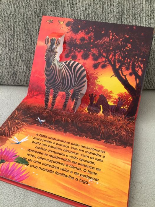 Livro Infantil Animais de Safari