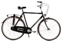 Rower męski Holenderski Gazelle Orange 61 cm