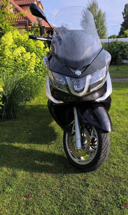 Poaggio x 10 ( kat. B) 125cm