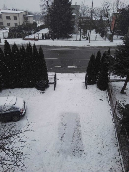 Mieszkanie 3 pok, parter, 2 km od centrum, duża działka, 2 balkony