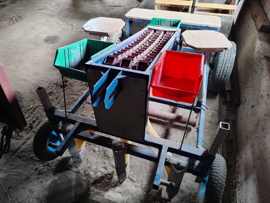 Sadzarka do czosnku i cebuli