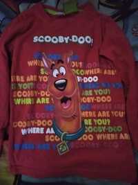 Bluzka damska Scooby-Doo