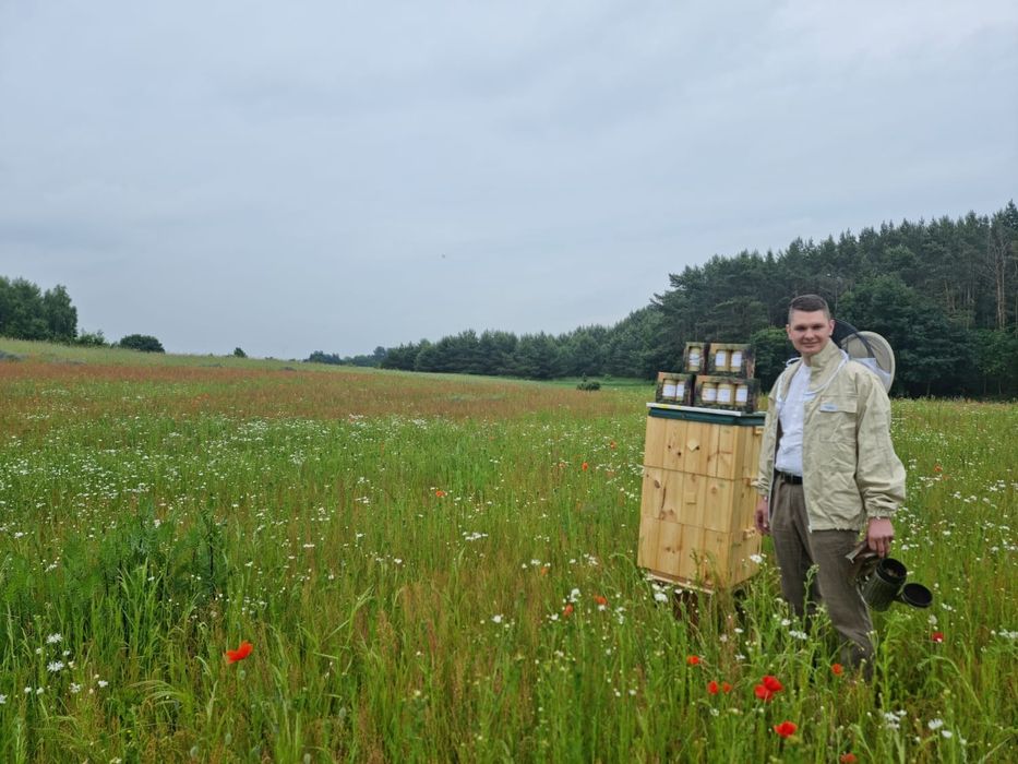 Sprzedam Miód Rzepakowy i Faceliowy