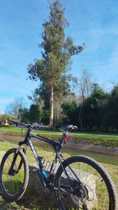 Venda bicicleta de montanha / cidade