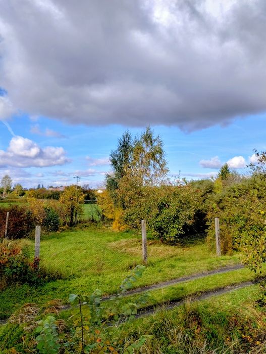 Dwie działki ogrodowe ROD z widokiem na łąkę