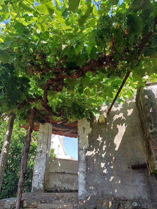 Casa Rural  - Cimadas