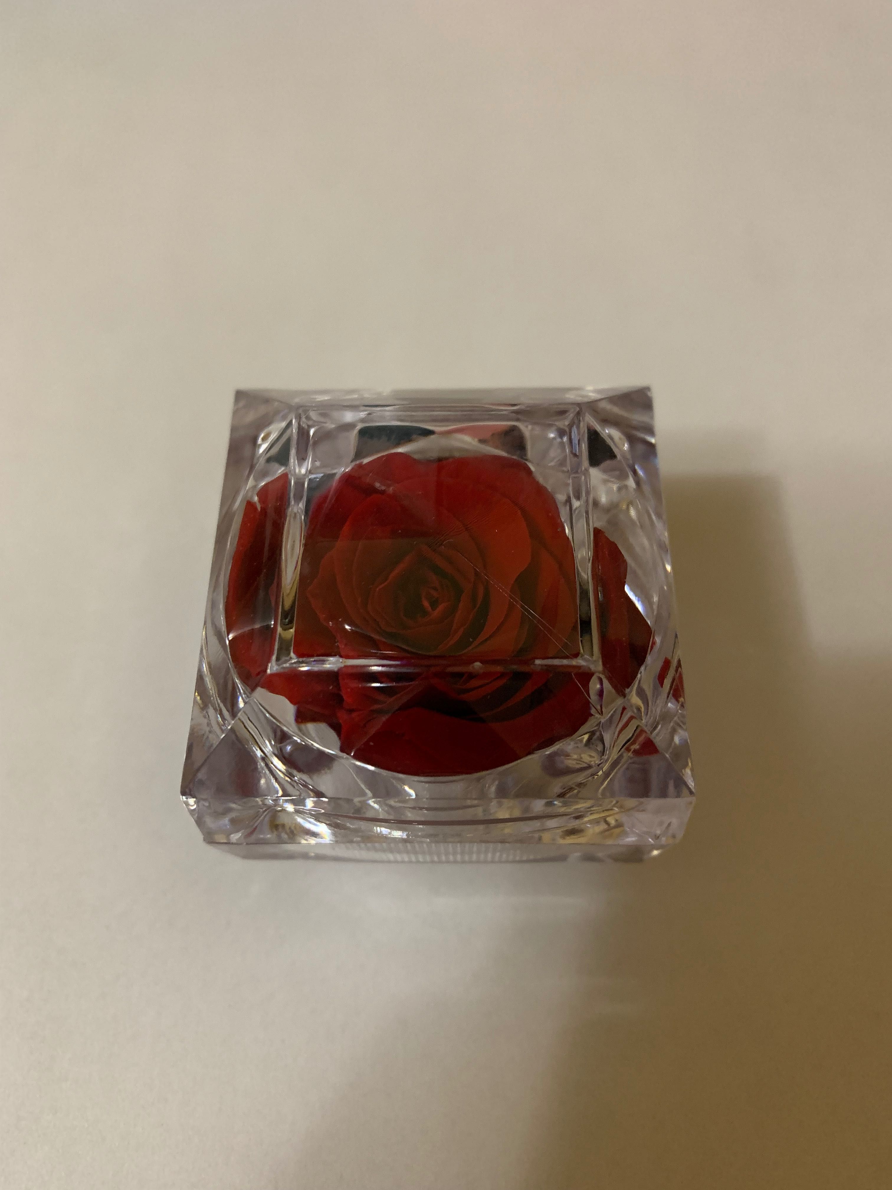 Вечная роза в шкатулке подарок на 14 февраля