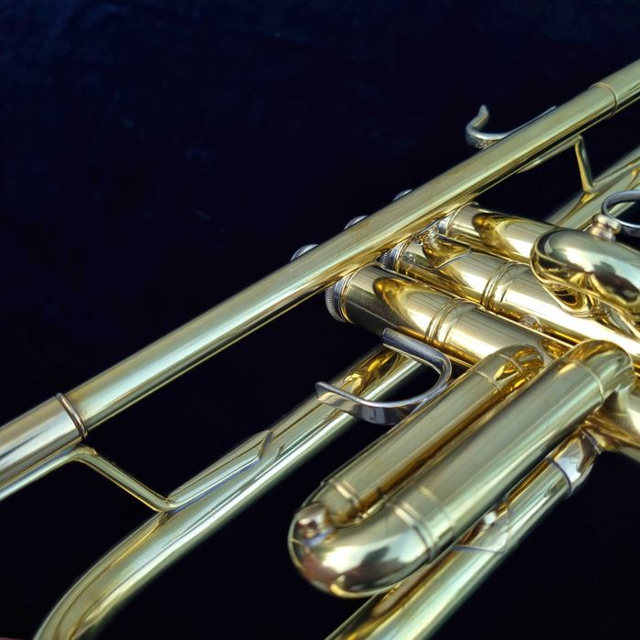Salsa horn Vincent Bach Stradivarius 25 LARGE trąbka ustnik gamonbrass