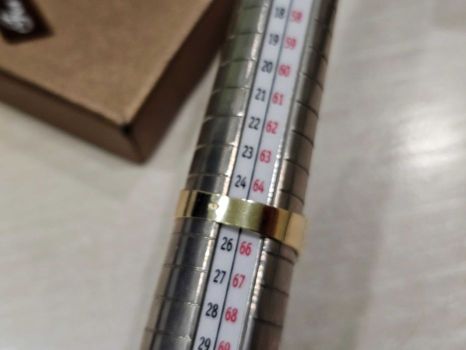 Sygnet złoty męski lekki wzór PR 585 R25