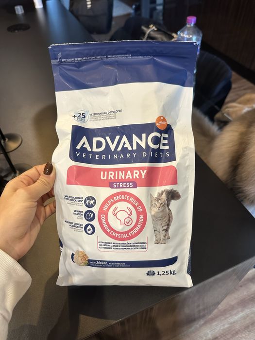 Ração seca Advance para gatos