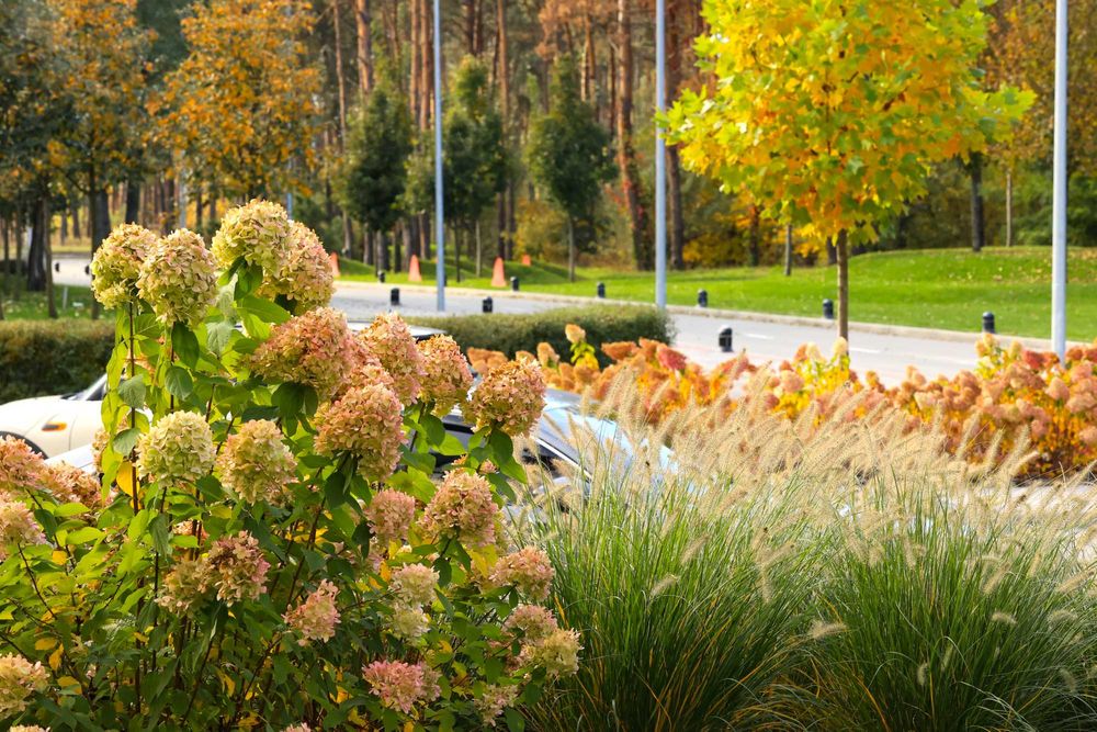 Двокімнатна квартира ЖК Молодість 3 черга 52 м2