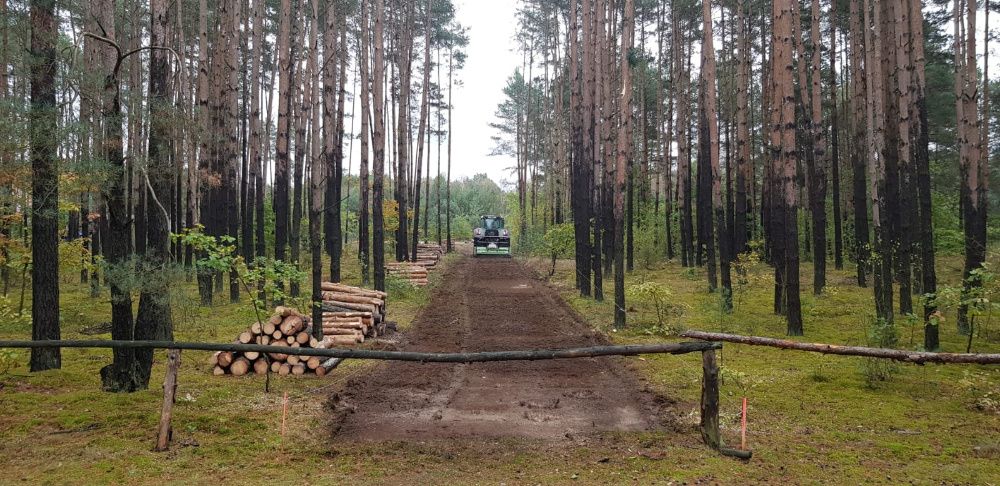 MULCZOWANIE Karczowanie Wycinka drzew Mulczer Leśny Czyszczenie PILAR