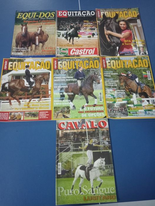 Tauromaquia cavalos