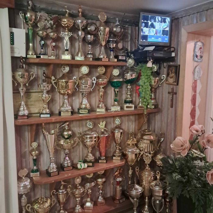Gołębie od czołowego Hodowcy oddziału Zakopane