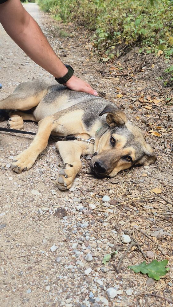 Mimo iż wyglądam na dużą, wcale taka nie jestem. Mam tylko 11 miesięcy