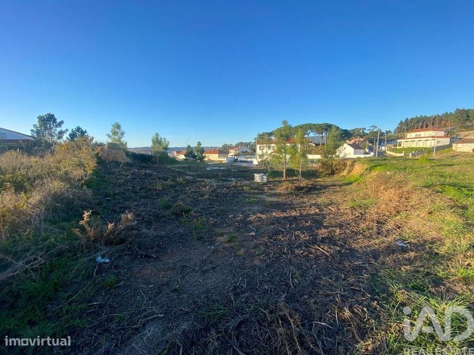 Terreno para construção em Olhalvo