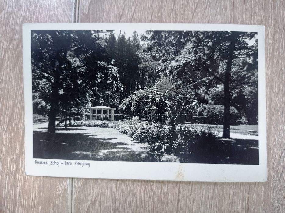 138 Duszniki-Zdrój - Park Zdrojowy