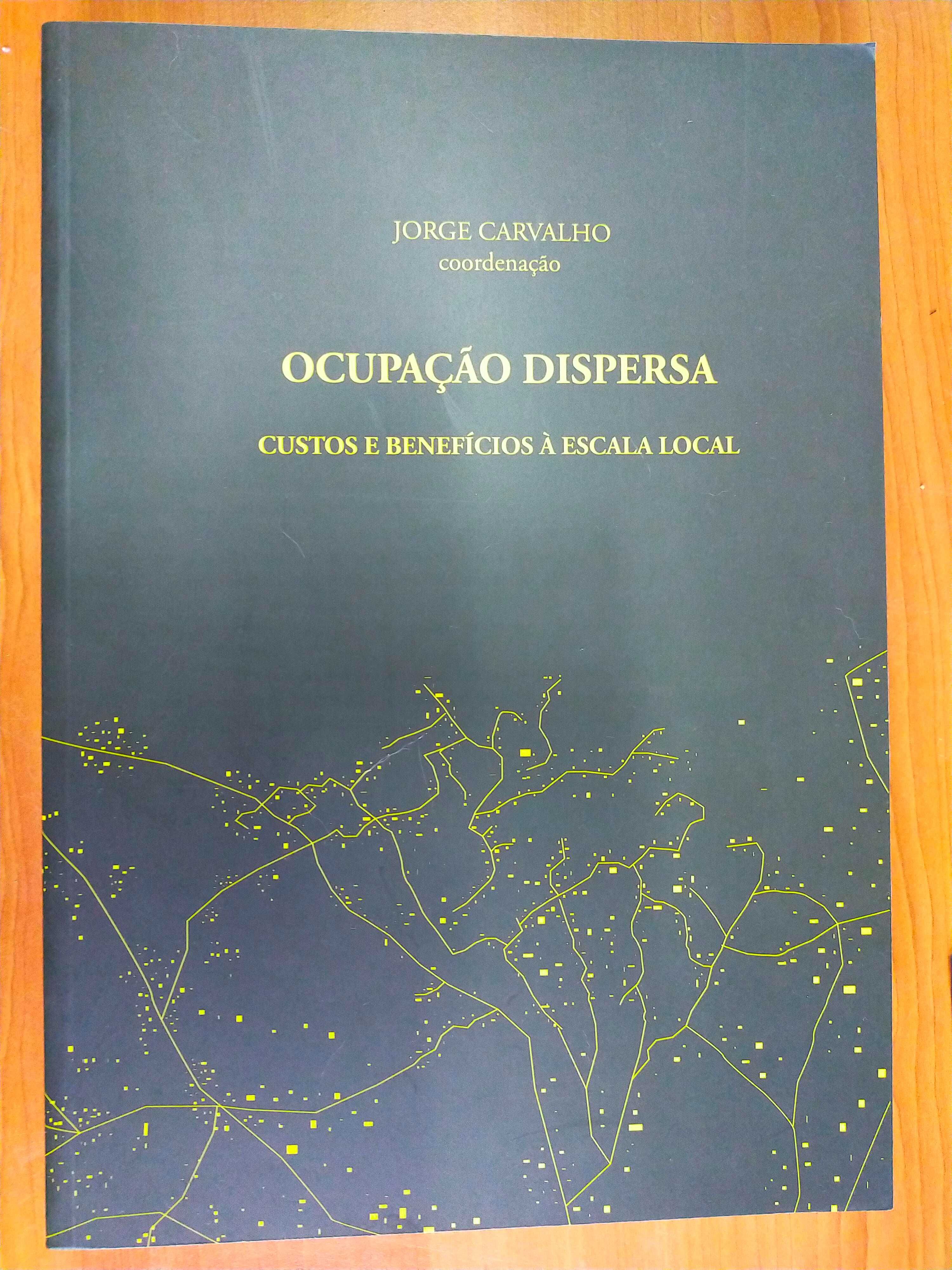 Ocupação dispersa : custos e benefícios à escala local