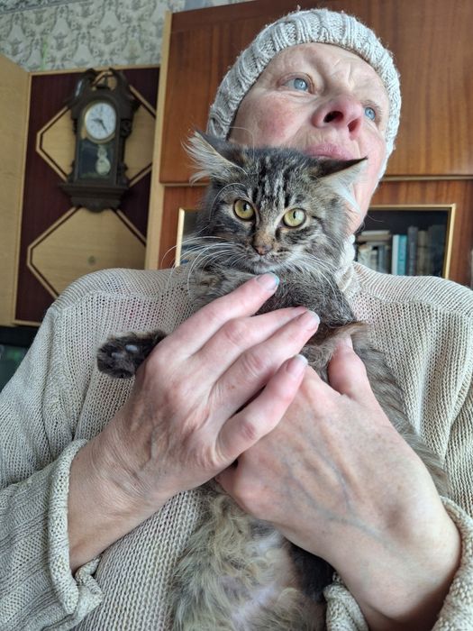 Маленька довгошерстна дівчинка 3,5 міс