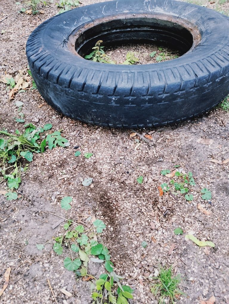 Opony 825 do przyczep