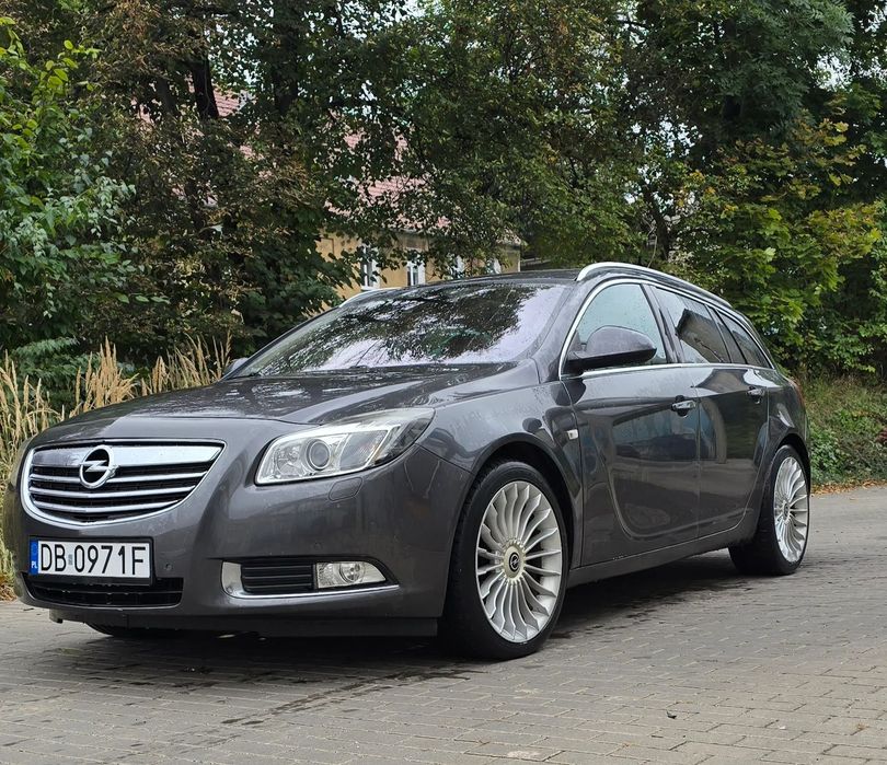 Opel Insignia Opel Insignia 2010 2.0 CDTI Salon Polska Panorama Brak DPF!!