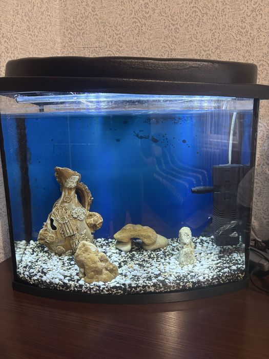 Акваріум комплектом
