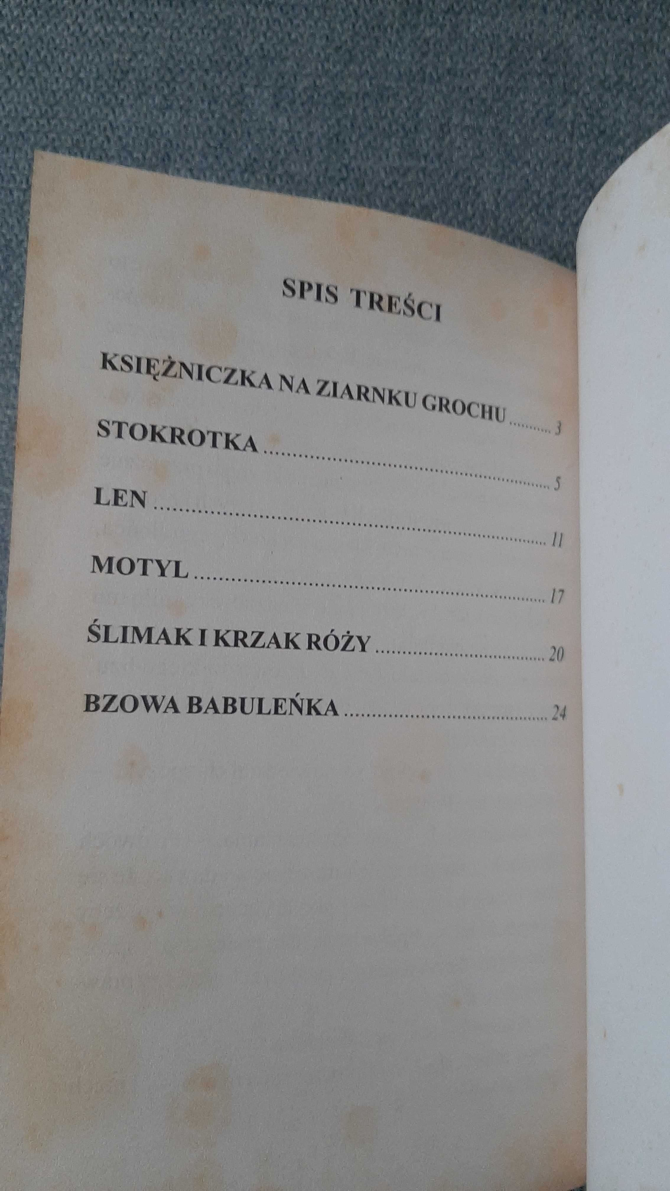 Księżniczka na ziarnku grochu i in. baśnie Andersen Jan Marcin Szancer