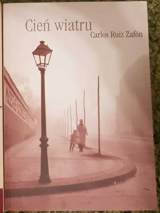 Carlos Ruiz Zafon, Cień wiatru