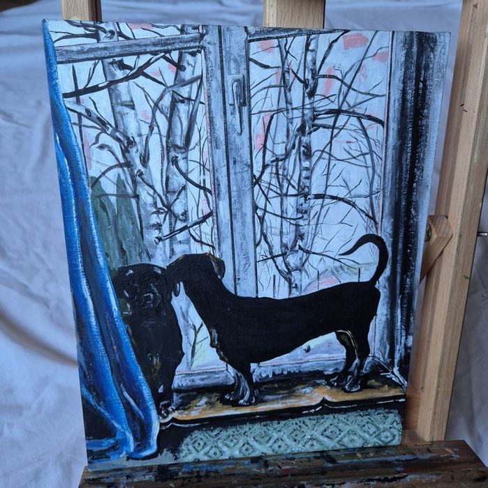 Jamniki jamnik w oknie obraz na płótnie od artysty