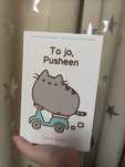 Książka pusheen orginalna